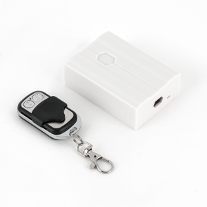 WBK-401-2-12/24 * Set radiocomanda cu un receptor si o telecomanda