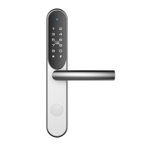 DLK-929SS-6M-R/L * Incuietoare all-in-one pentru apart hotel