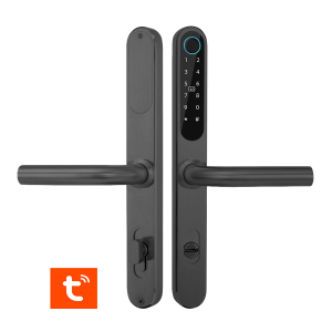929PG-62-F(TUYA) * Incuietoare all-in-one cu cititor de carduri Mifare 13.56MHz, cod PIN, amprenta, aplicatie TUYA, BLE, IP65