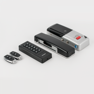 D2 * Controler stand-alone cu card si PIN, tastatura WIRELESS, incuietoare WIRELESS si telecomenzi